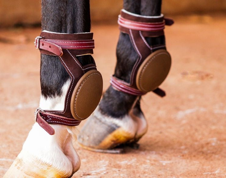 Weaver Leather Skid Boots main image 1
